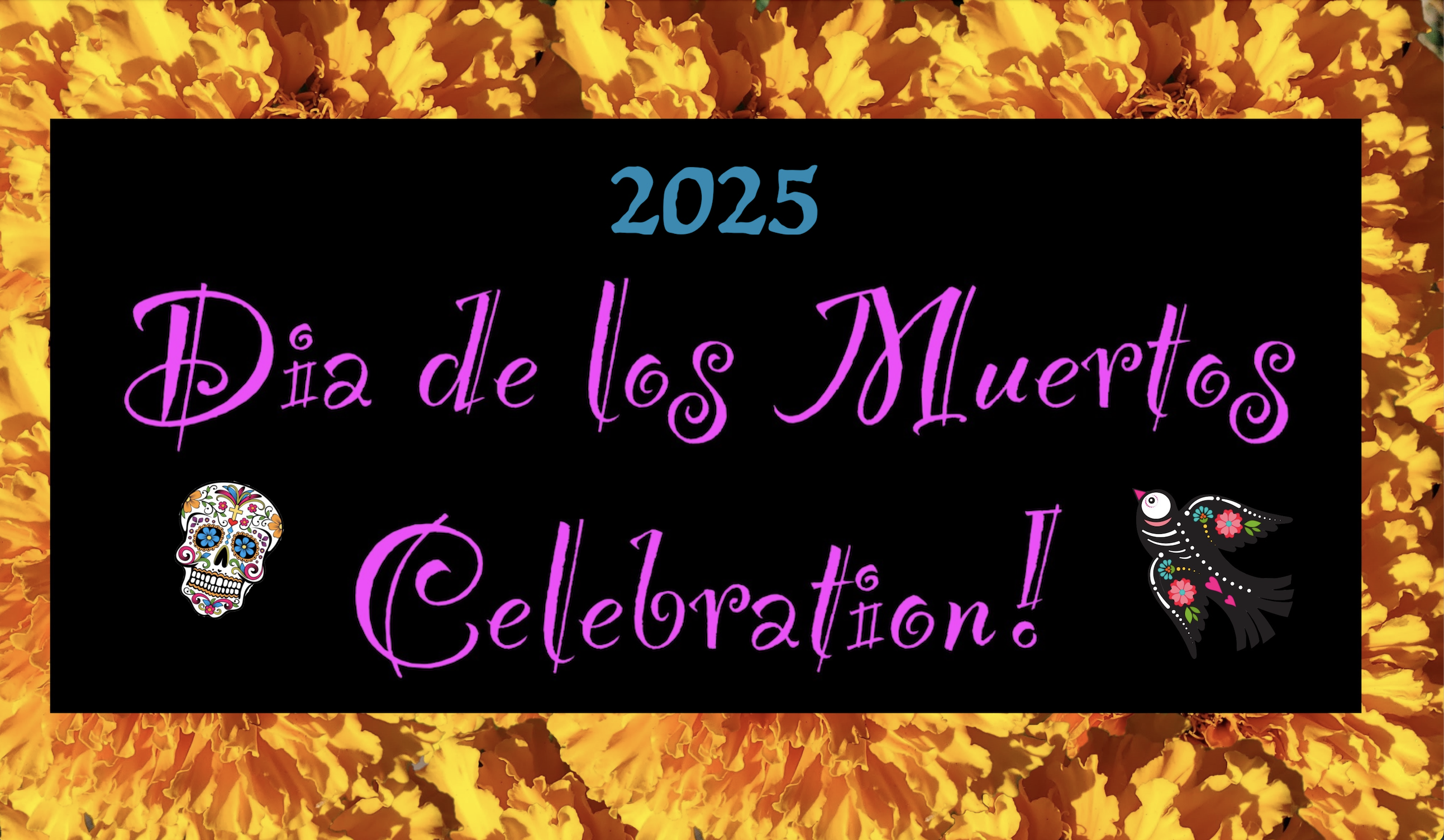 DDLM Header 2025 web